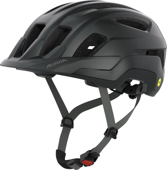 ALPINA SPORTS Paranus Mips