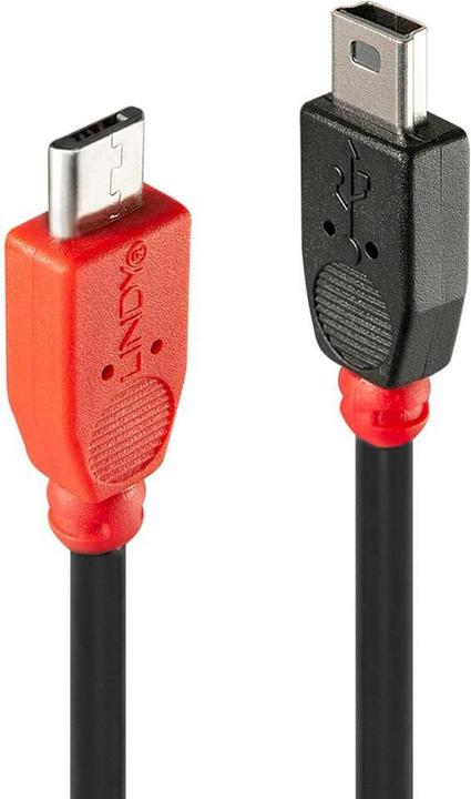 Lindy Câbles USB (0.50 m, USB 2.0)