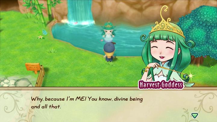 Produktbild Marvelous Story of Seasons : Friends of Mineral Town (Switch, FR)