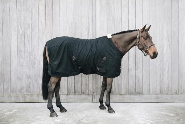 Immagine prodotto Kentucky Horsewear Lenzuolo di cotone (155 cm)