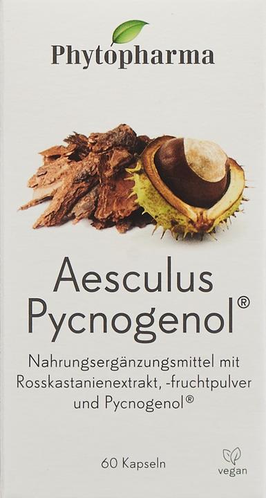 Produktbild Phytopharma Aesculus Pycnogenol (60 Stück, Kapseln, 61 g)