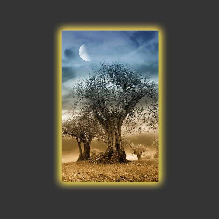 Produktbild Wallxpert Marco (45 x 70 cm)