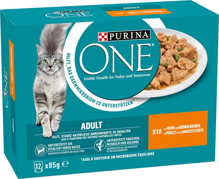 Purina ONE Adulti (Adulto, 1 pz., 1160 g)