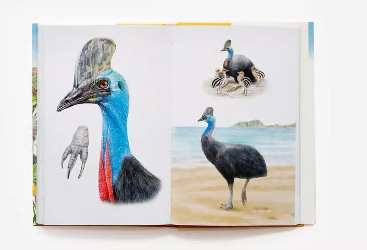 Actual product image In 80 Vögeln um die Welt (German, Mike Unwin, Ryuto Miyake, Bettina Eschenhagen, 2022)