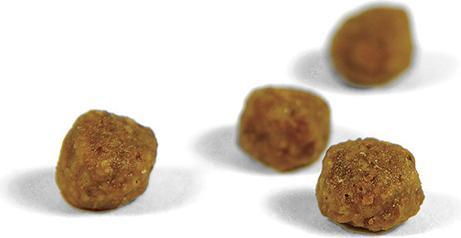 Produktbild Josera Minette für Kitten (Junior, 1 Stk., 10000 g)