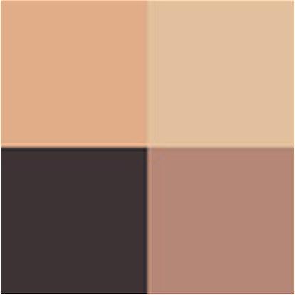 Actual product image Clarins Quatuor No 08 (08 Amber gradation)