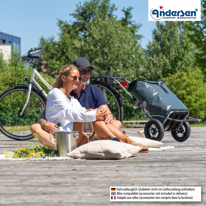 Actual product image Andersen Royal Shopper Ortlieb shopping trolley 65 cm with pneumatic wheels