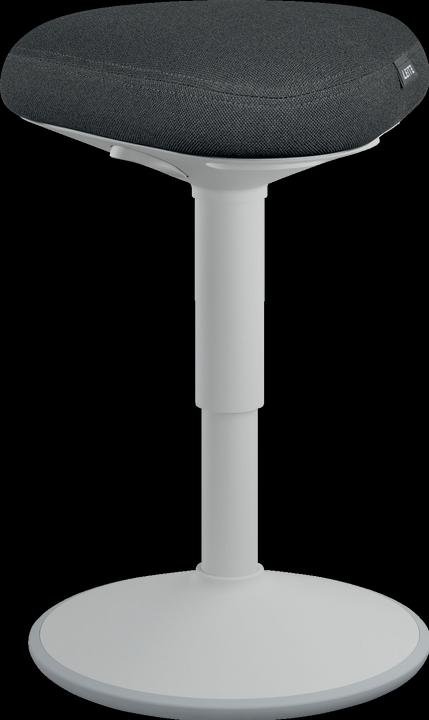 Immagine prodotto Leitz Ergo Active