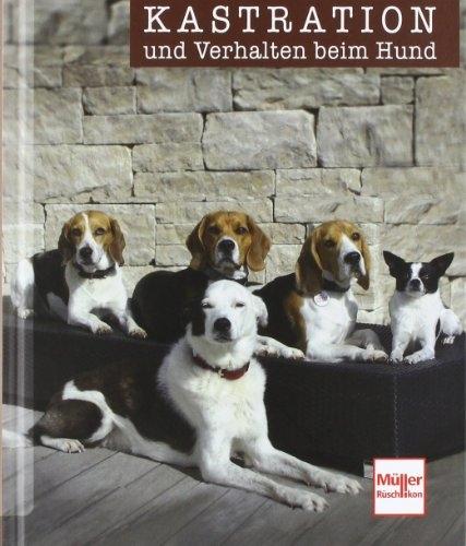 Actual product image Kastration und Verhalten beim Hund (German, Sophie Strodtbeck, Udo Ganslosser, 2021)
