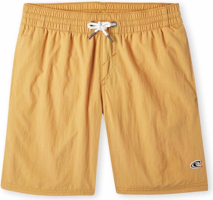 Actual product image O'Neill Vert Swim Shorts (176)