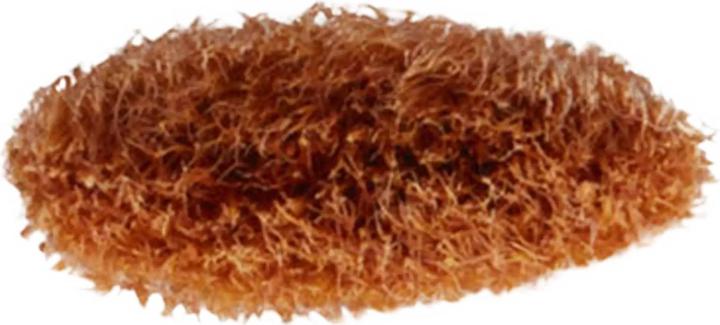Produktbild MAC Cosmetics Brush 242S Shader (Augenbrauen)