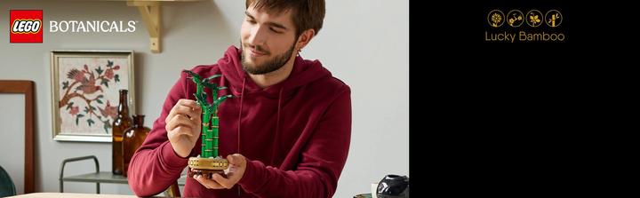 Productafbeelding LEGO Glücks-Bambus (10344, LEGO Icons)