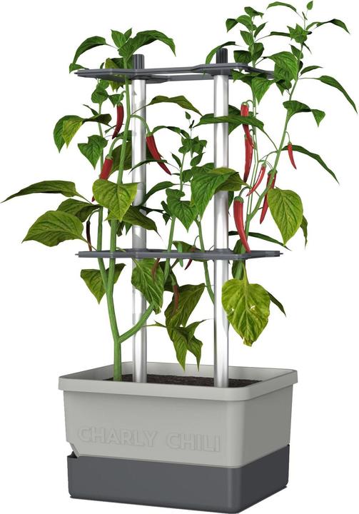 Productafbeelding Gusta Garden Charly Chili (35 cm)