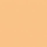 Actual product image Lee Filters 200 Full C.T. Orange (Colour foil)