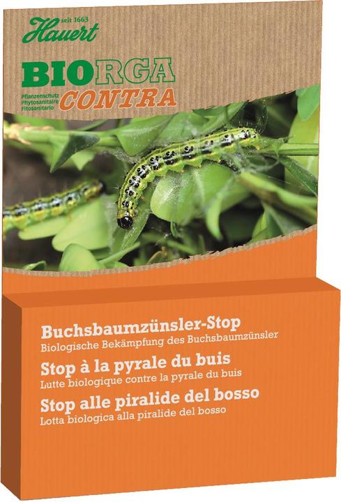 Produktbild Hauert Buchsbaumzünsler Stopp (Buchsbaumzünsler)