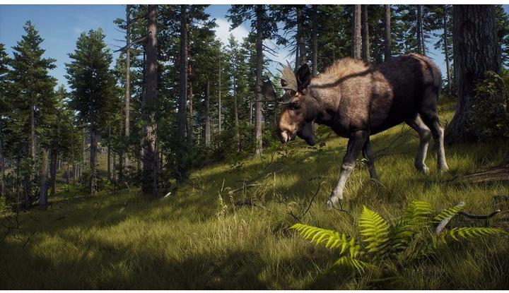 Produktbild THQ Way of the Hunter (Xbox Series X, DE)