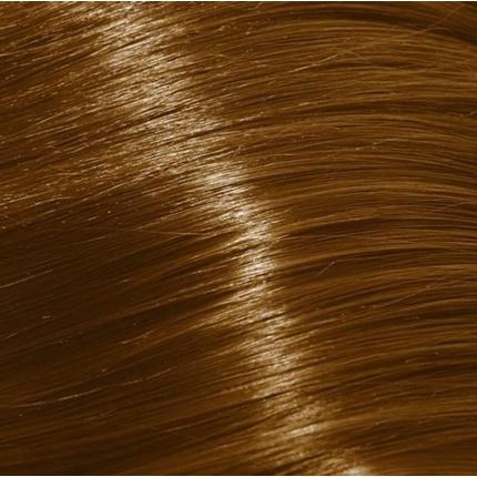 Immagine prodotto XP200 Tintura per capelli 10.31 Biondo Extra Chiaro / Oro / Cenere - 100 ml (2 Trattamenti) (Oro, Cenere, 10,31 Biondo extra chiaro)