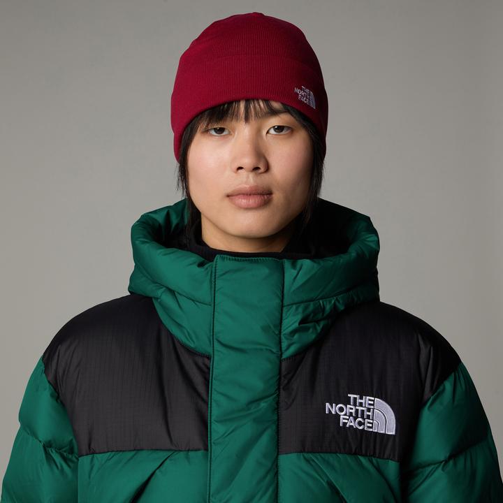 Actual product image North Face Norm Shallow Beanie (One size)
