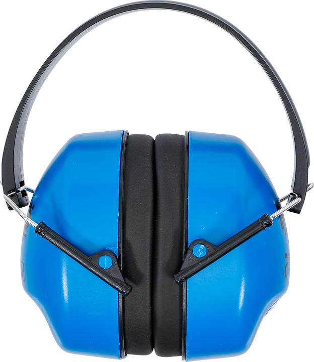 Actual product image BGS Ear Defenders (1 x)