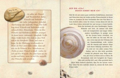 Produktbild Der geheime Plan Ihres Lebens (Deutsch, Ruediger Schache, 2013)