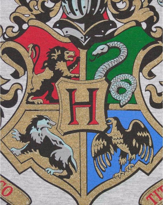 Immagine prodotto Top Raglan Hogwarts (XXL)