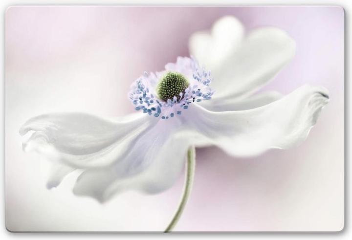 Trenddeko Anemone Breeze