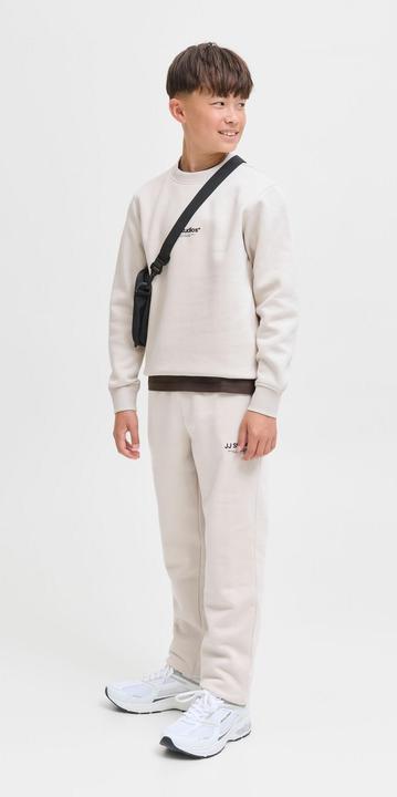 Actual product image Jack & Jones Sweatshirt Junior Sweatshirt (164)