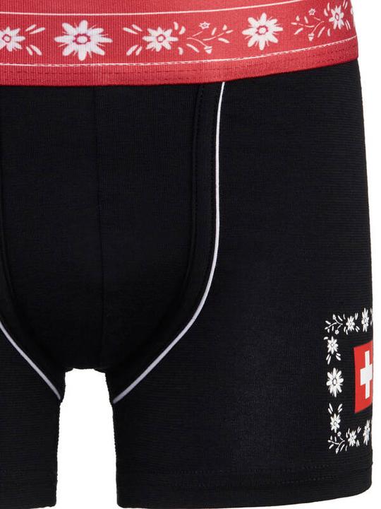 Immagine prodotto ISA Bodywear Mutandine (158, 164, Confezione singola)