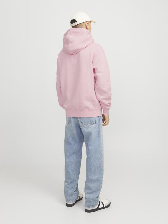 Image du produit Jack & Jones Jorvesterbro Sweat Hood Noos (XXL)