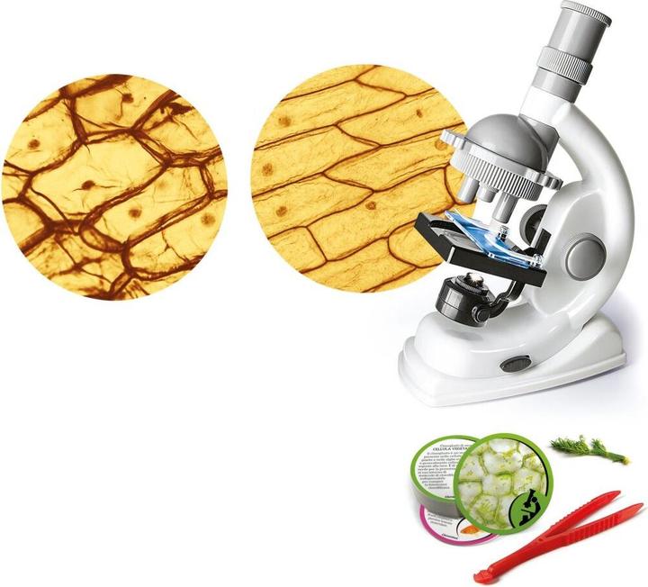 Produktbild Clementoni Natur unter dem Mikroskop