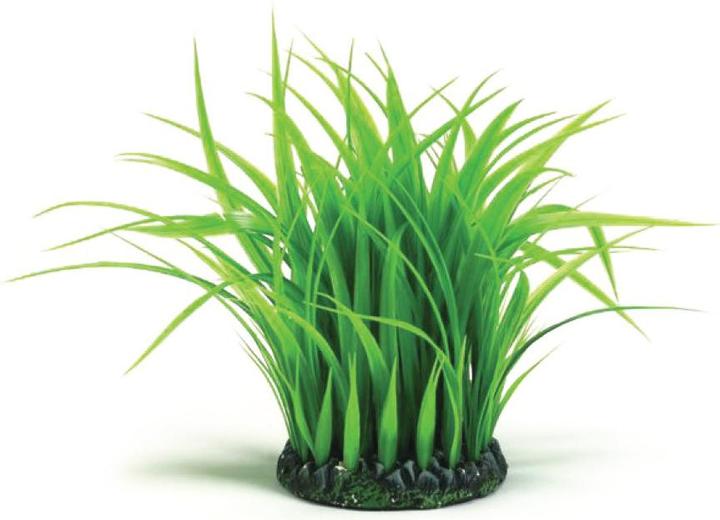 Image du produit Oase biOrb Anneau d'herbe moyen vert (Décoration, autres éléments)