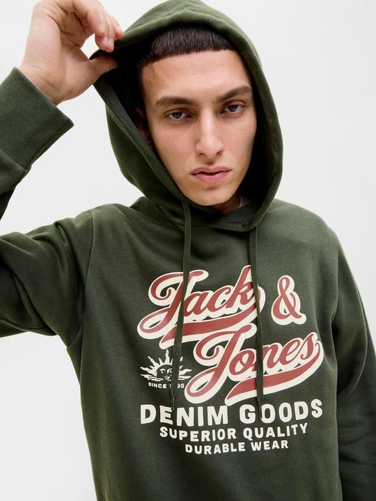 Immagine prodotto Jack & Jones JJELOGO SWEAT HOOD 2 COL 25/26 NOOS (XS)