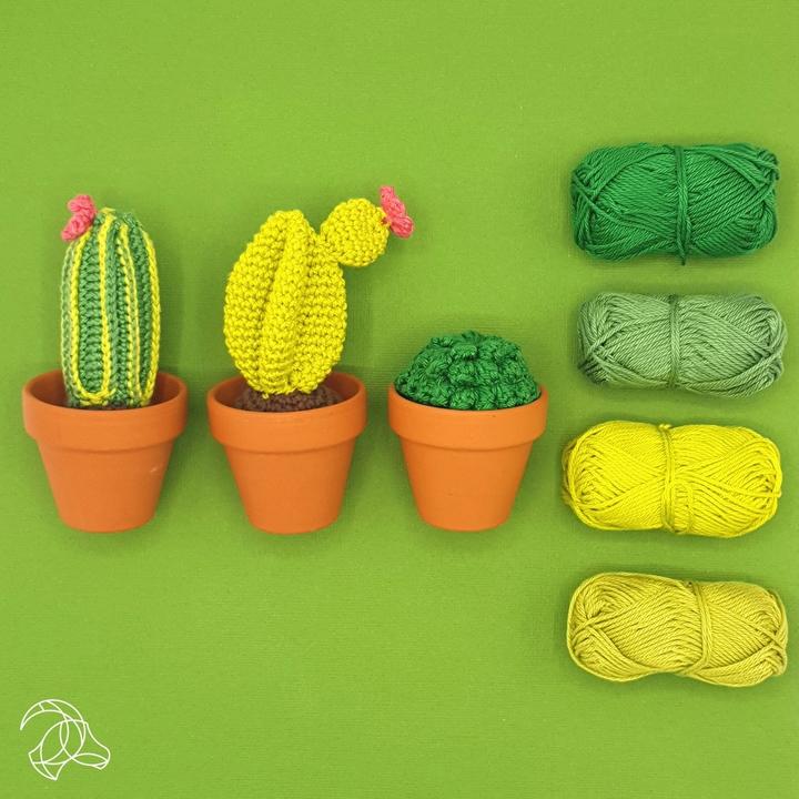 Actual product image Hardicraft Cacti - Crochet Set