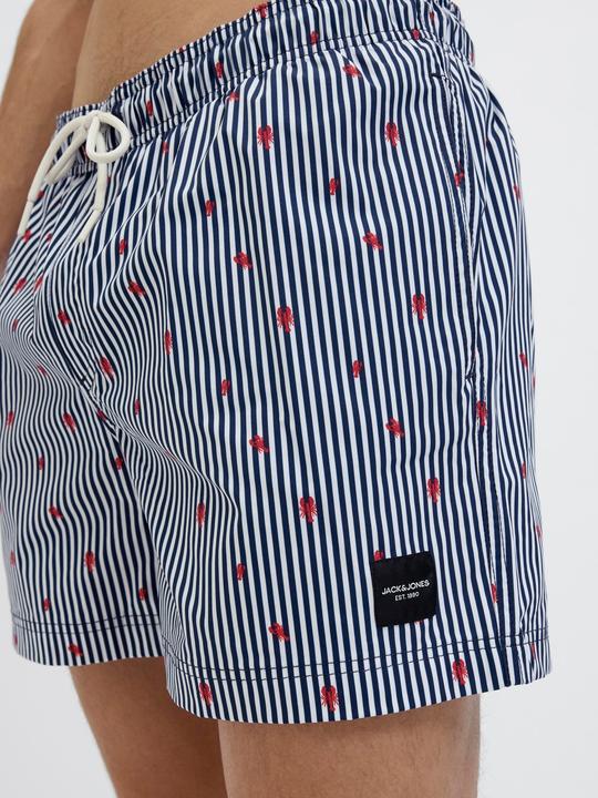 Actual product image Jack & Jones Jpstmaui Jjswim Mini Stripe Akm Sn (XS)