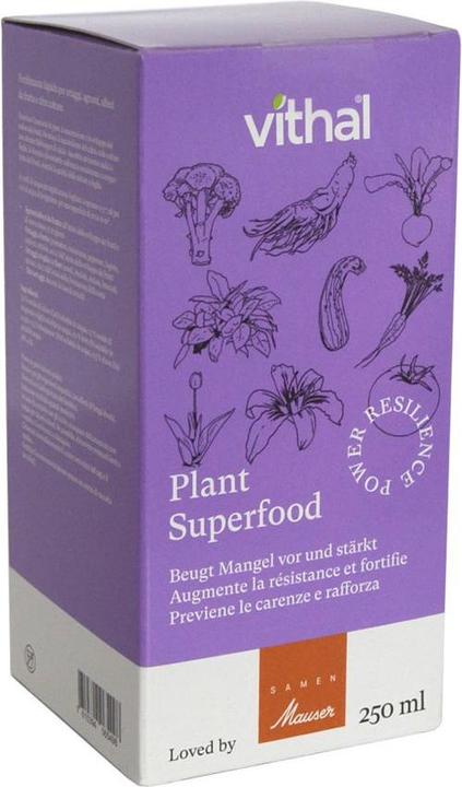 Produktbild Vithal Plant Superfood Konzentrat 250 ml (0.25 l)