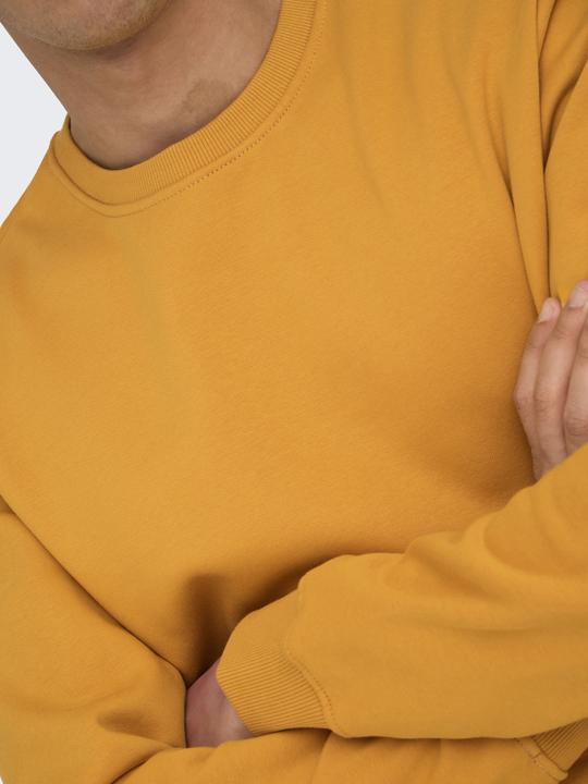 Produktbild Only & Sons Onsconnor Reg Crew Neck Sweat Noos (L)