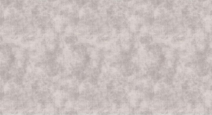 Actual product image Livingwalls Walls by Patel greige canvas 2 (270 x 500 cm)