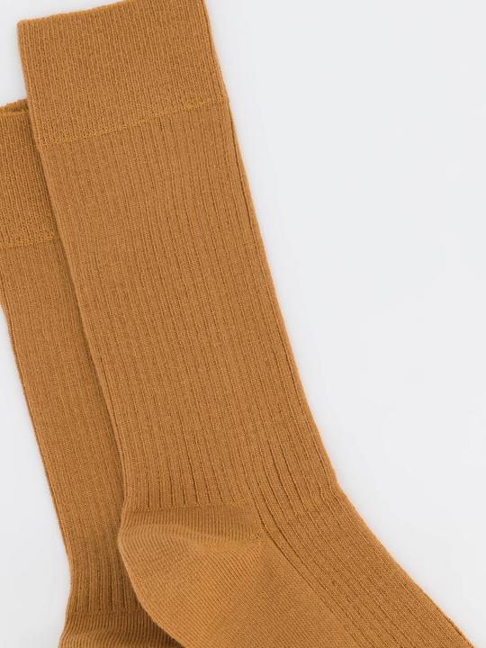 Actual product image DillySocks Ribbed (Single pack, 36 - 40)