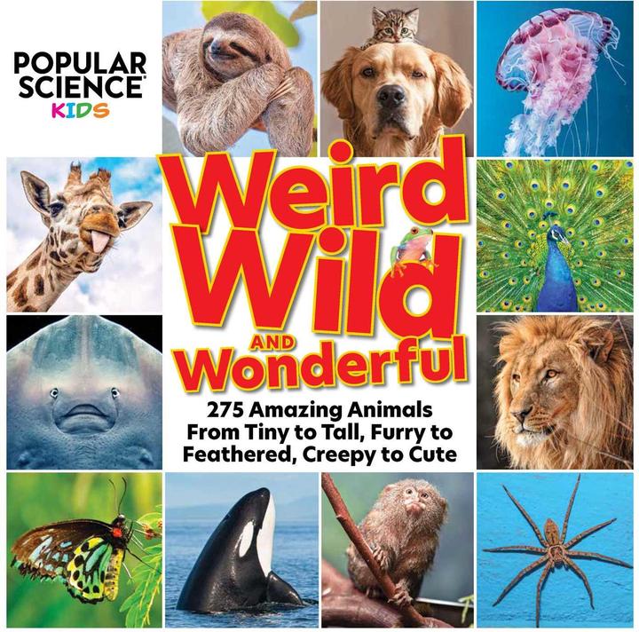 Produktbild Popular Science Kids: Weird, Wild & Wonderful (Englisch, Centennial Books, Popular Science, 2021)