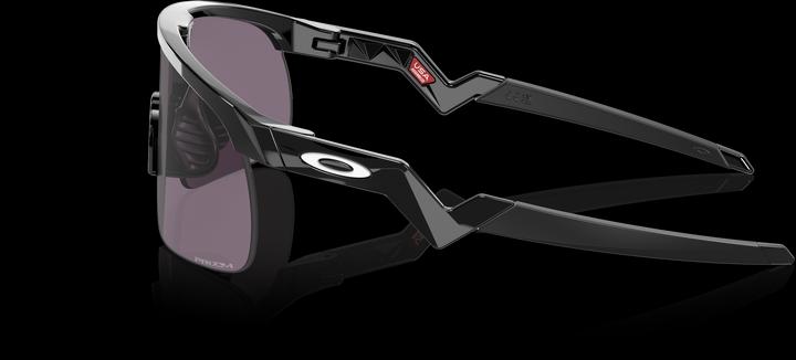 Image du produit Oakley Resistor (Noir, Prizm Noir)