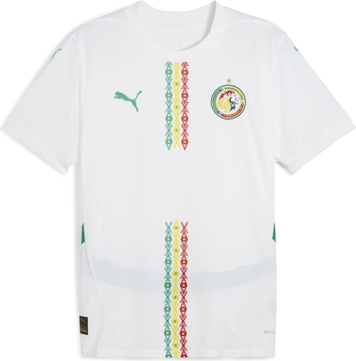 Puma FSF Home Jersey Replica (3XL)