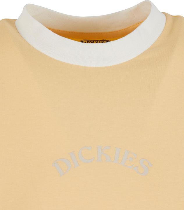Actual product image Dickies Warm Springs T-Shirt - 125477 (M)