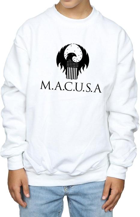 Actual product image Fantastic Beasts Boys MACUSA Logo Sweatshirt (116)