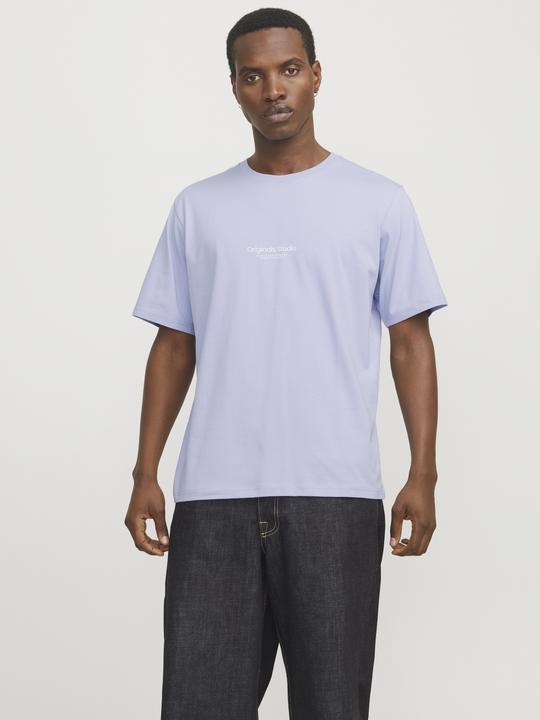 Produktbild Jack & Jones Jorvesterbro Tee Ss Crew Neck Noos (XXL)