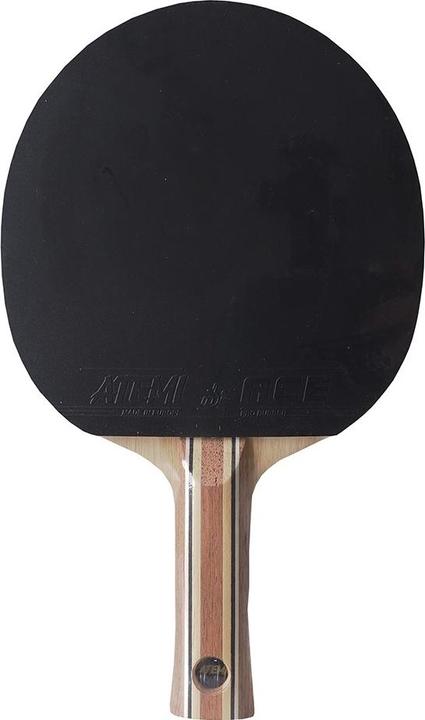 Image du produit Atemi Raquette de ping-pong New 3000 Pro anatomique