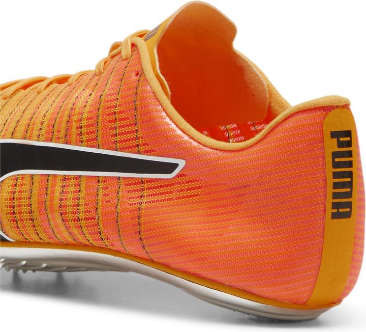 Actual product image Puma evoSPEED BRUSH 6 (42.5)