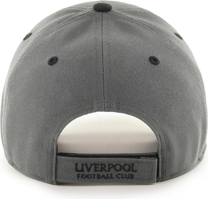 Actual product image 47 Brand Defrost Liverpool FC