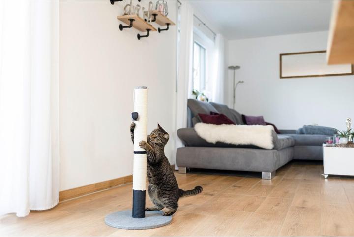 Image du produit Kerbl Colonne griffoir Opal Pro gris/noir 40x40x80cm (80 cm, Gris/Noir)