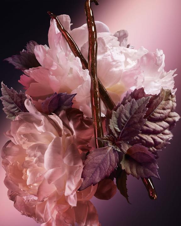 Actual product image Carolina Herrera Blush Elixir Eau de Parfum (Eau de parfum, 50 ml)
