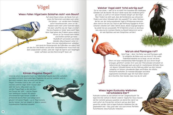 Image du produit Was willst du wissen? Das grosse Fragen- und Antwortenbuch – Tiere (Allemand, Kristine Ortmeier, Angelika Huber-Janisch, 2023)